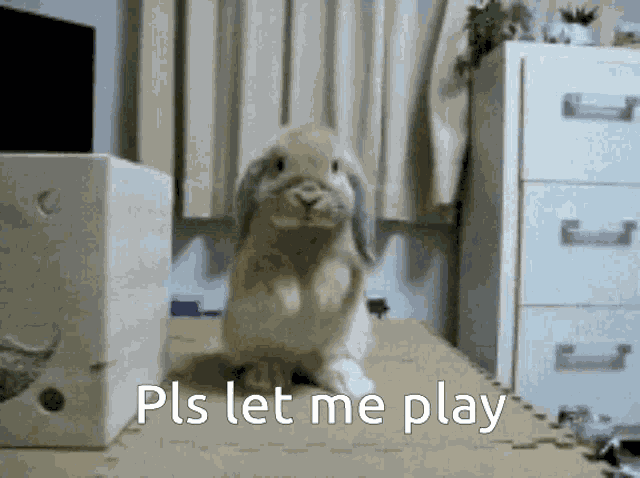 Bored Play GIF