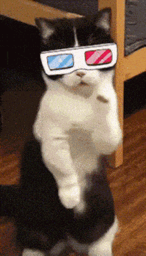 Boredmemes Notacult GIF