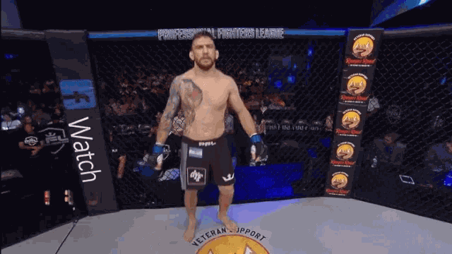 Bouncing Hopping GIF