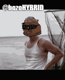 Bozo Hybrid Hybrid Defi GIF