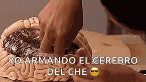 Brain Cake Yo Armando El Cerebro Del Che GIF