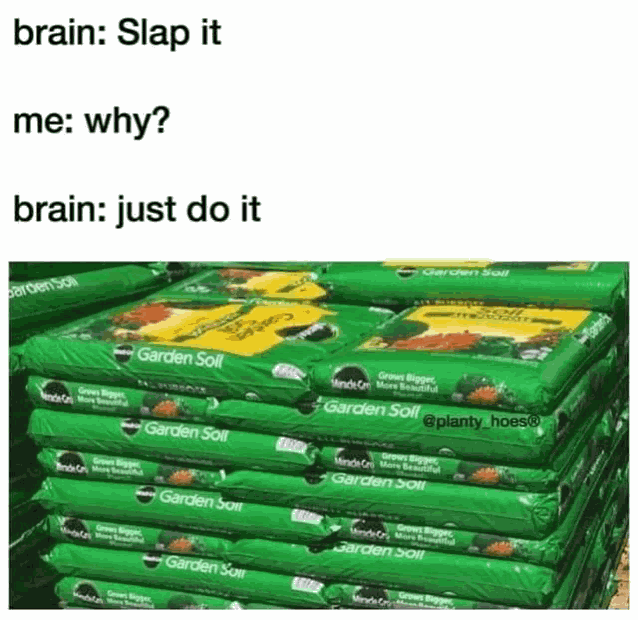 Brain Me Meme