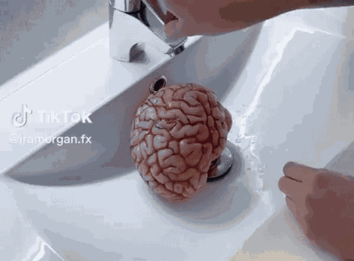Brain Wash Washing Brain GIF