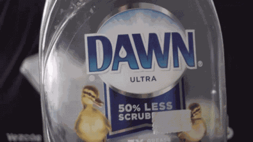Brandocommando Dawn GIF