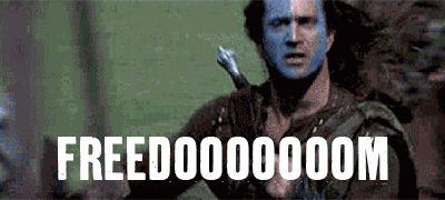 Braveheart Freedom GIF
