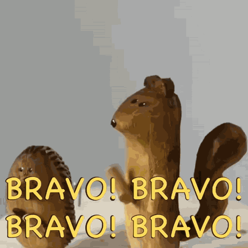 Bravo Bravo Bravo GIF