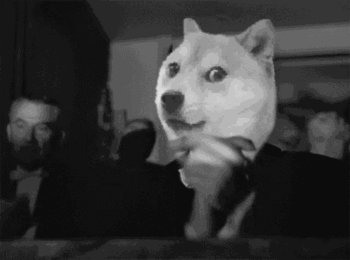 Bravo Doge GIF
