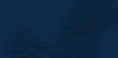 Brewers Win Milwaukee Brewers GIF