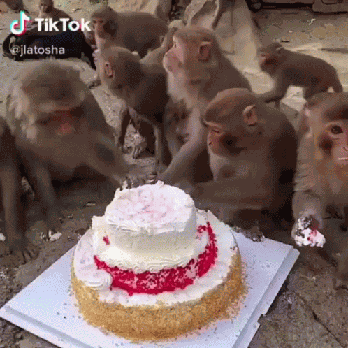 Brexby Brexby Monkey GIF