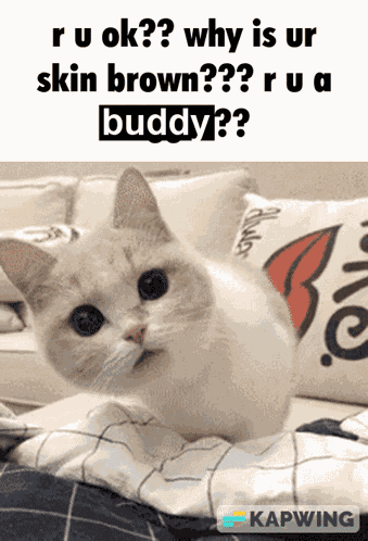 Brick Rigs Meme GIF