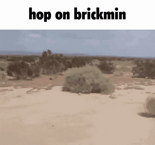 Brickmin Roblox Pikmin GIF