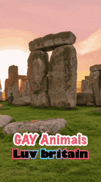 British British Heritage GIF