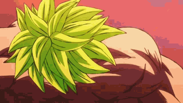 Broly Broly Ki Attack GIF