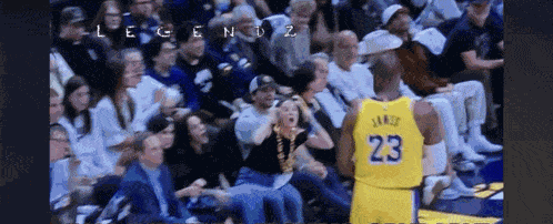Bron Scare Fan Lebron GIF