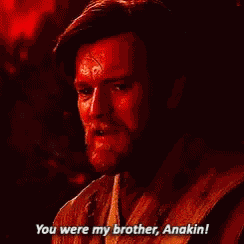 Brother Anakin GIF