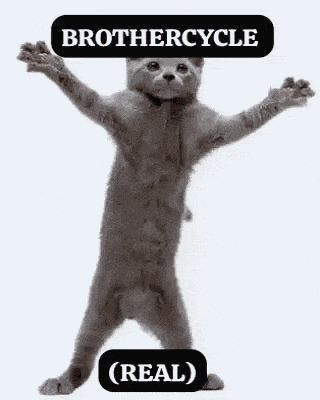 Brothercycle Real GIF