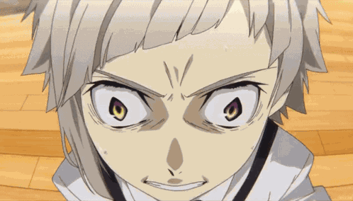 Bsd Bungo Stray Dogs GIF