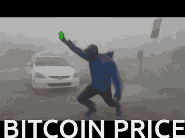 Btc Bitcoin GIF