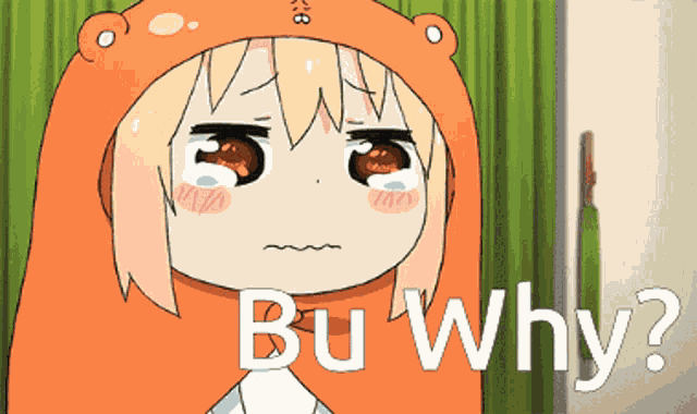 Bu Why But Why GIF