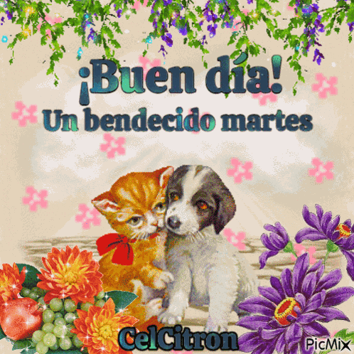 Buen Dia Bendecido Martes GIF