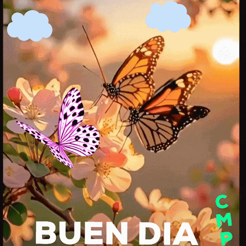 Buen Dia Buenos Días Cmp Cmp Cmpbycosart Cmpbycosart Gif GIF