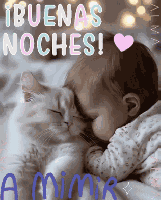 Buenas Noches A Mimir GIF
