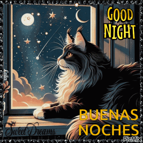 Buenas Noches Good Night GIF