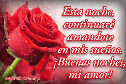 Buenas Noches Mi Amor GIF