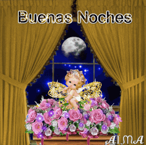 Buenas Noches GIF