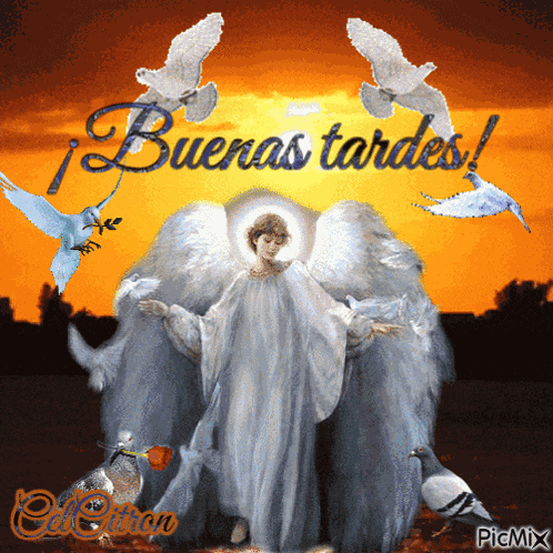 Buenas Tardes Angel GIF