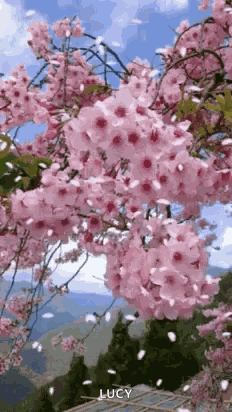 Buenos Días GIF