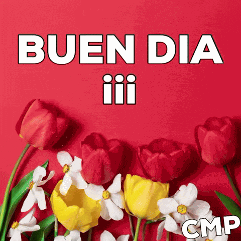 Buenos Días Buen Día Goodmorning Flores Flowers Cmpbycosart GIF