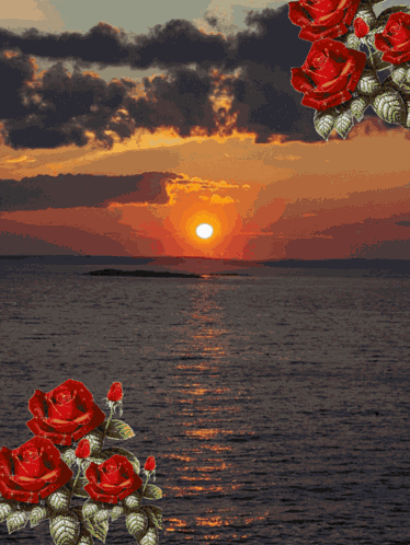 Buenos Días Buen Día GIF