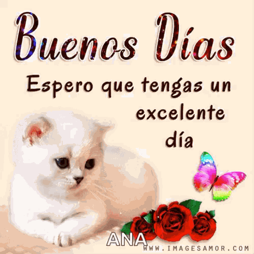 Buenos Días Gif Buenos Días GIF