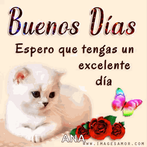 Buenos Días Lunes Inicio De Semana GIF