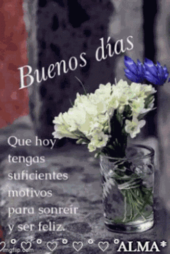 Buenos Dias Azul GIF