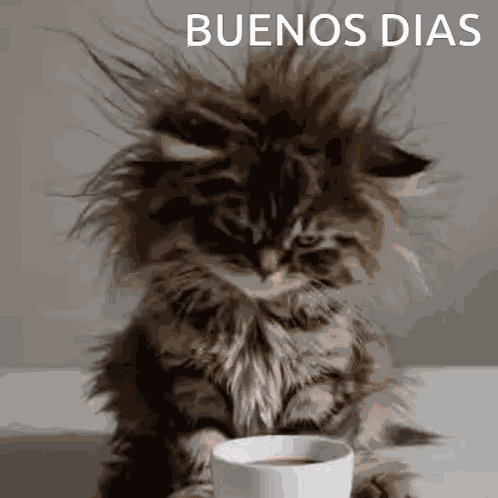 Buenos Dias Bendiciones Buenos Dias Amor GIF