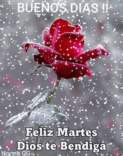 Buenos Dias Feliz Martes GIF