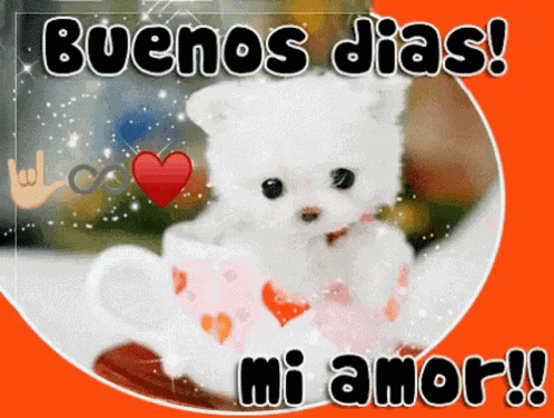 Buenos Dias GIF