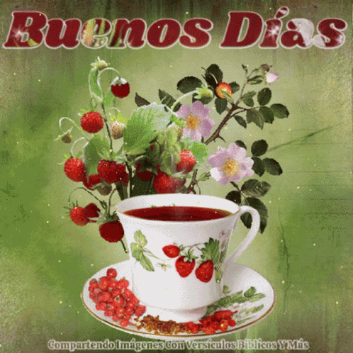 Buenos Dias Good Morning GIF