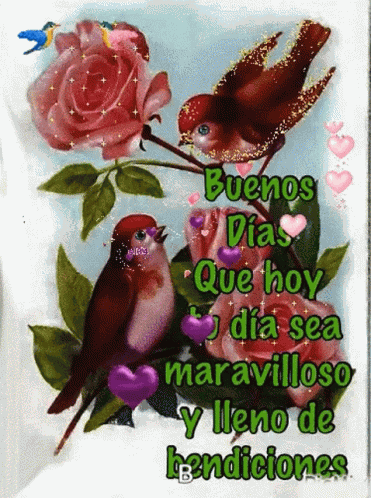 Buenos Dias Good Morning GIF