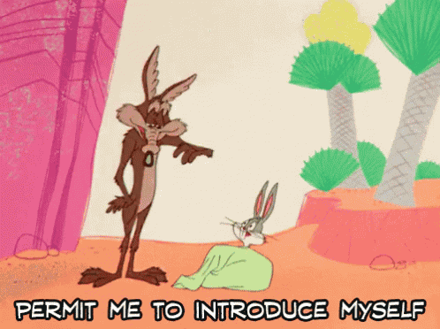 Bugs Bunny Wile E Coyote GIF