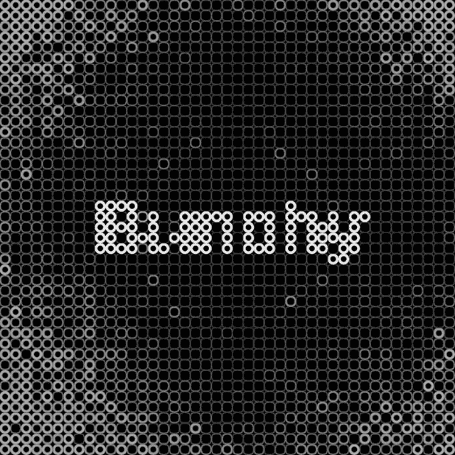Bunchy Protocol GIF