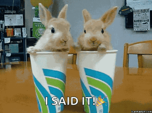 Bunnies Paper Cups GIF