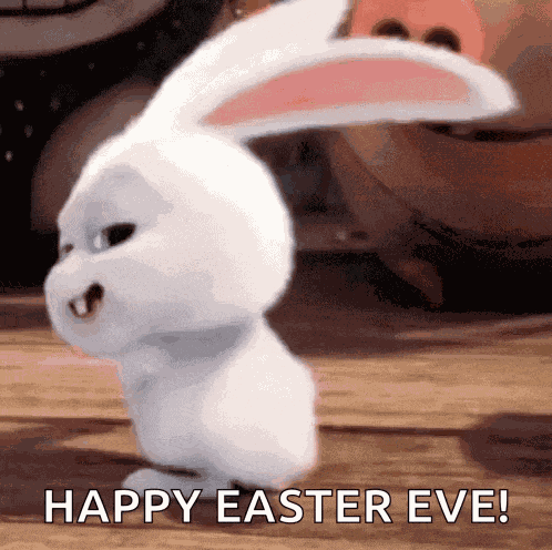 Bunnies Sw GIF