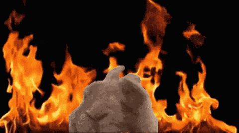 Bunny Fire Elmo Fire GIF