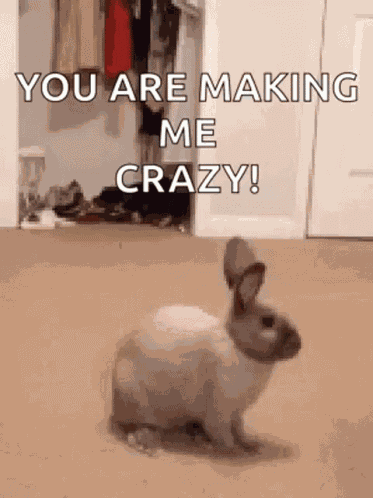 Bunny Jump GIF