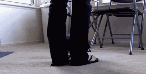 Bunny Rabbit GIF