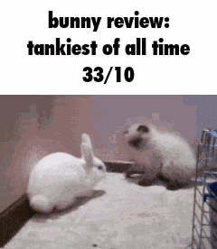 Bunny Review Kitty Review GIF