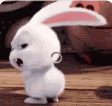 Bunny GIF